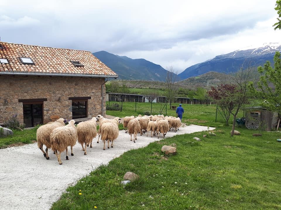 Albergue A'Noguera Castiello de Jaca Exteriér fotografie