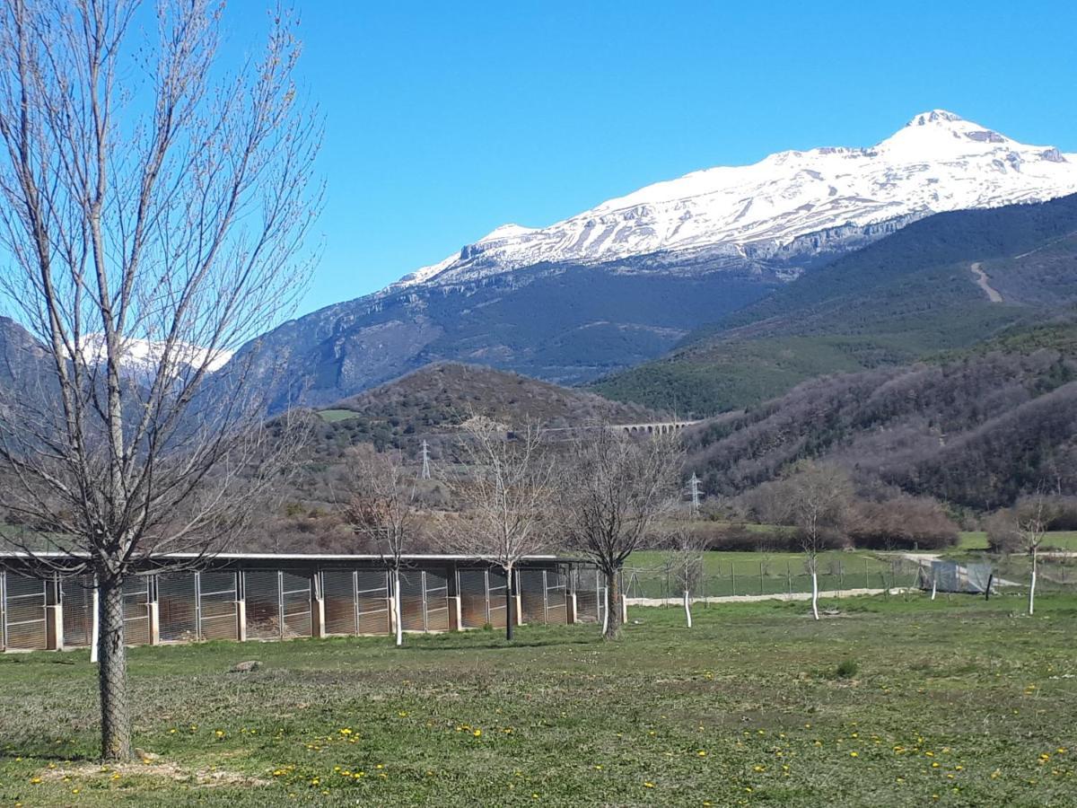 Albergue A'Noguera Castiello de Jaca Exteriér fotografie